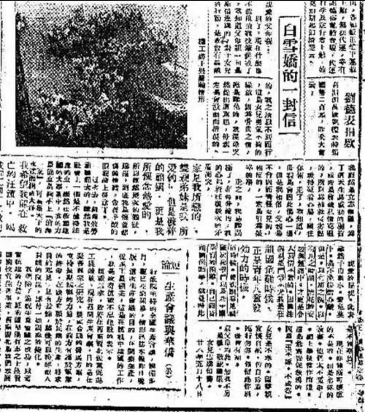 白雪娇家书报道